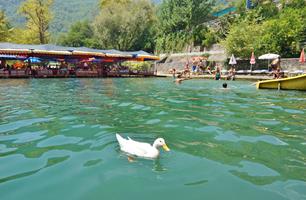 ADA PILNIK DIM CAY ALANYA TYRKIA