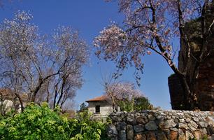 Vinter Alanya Tyrkia