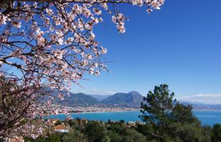 Våren i Alanya TYrkia