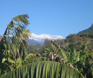 Vinter Alanya Tyrkia