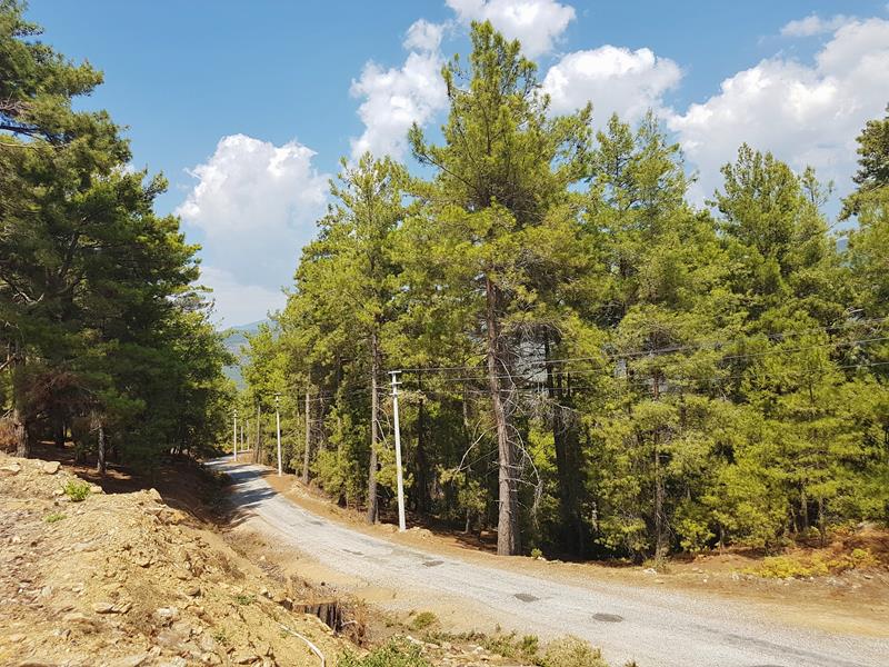 Fjelltur Taurusfjellene Alanya Tyrkia Yayla