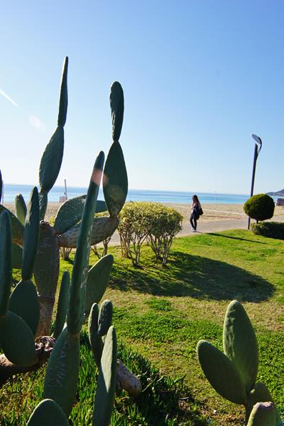 Kleopatrastranden Alanya Tyrkia