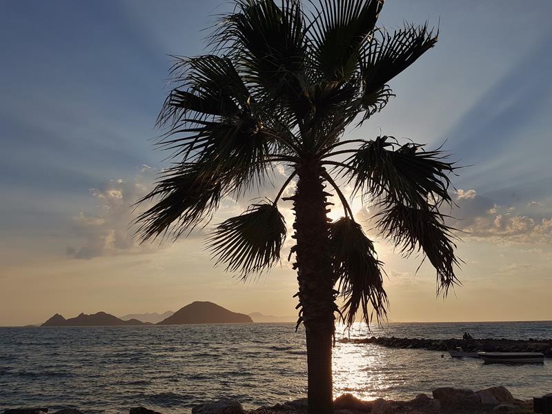 Turgutreis Bodrum Halvøya Tyrkia solnedgang Sunset Turkey