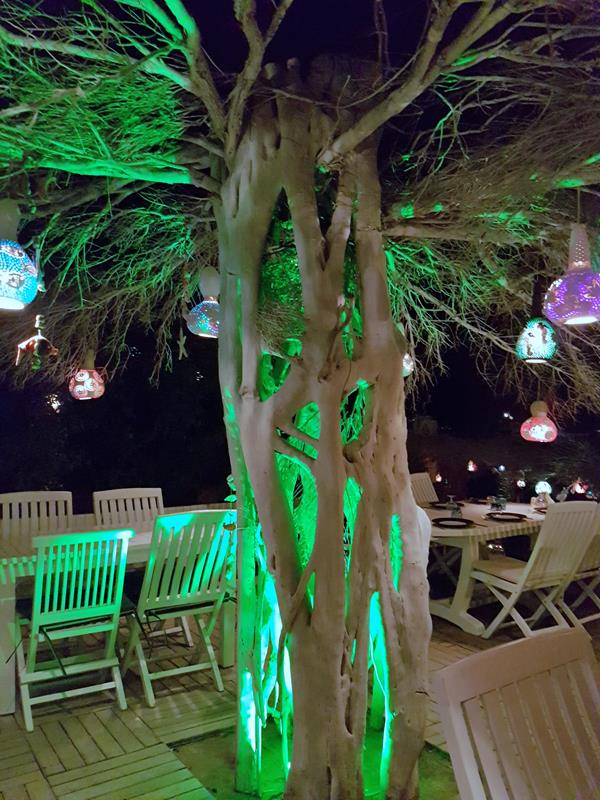 Gumusluk by Night Bodrum Tyrkia