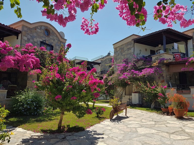 Gundogan Bodrum halvøya Tyrkia.