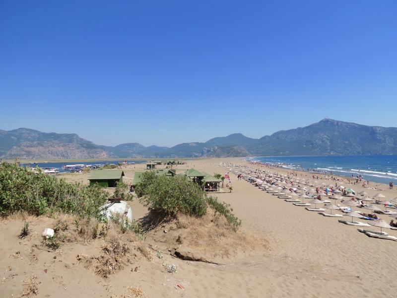 Iztuzu Stranden Dalyan Tyrkia Skillpaddestranden