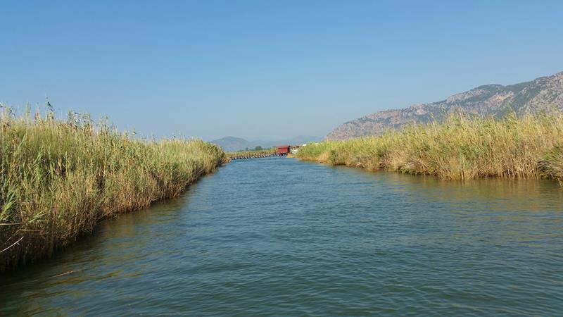 Elven Dalyan Tyrkia