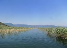 Innsjotur Köycegiz Dalyan Tyrkia