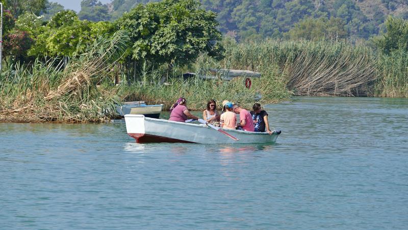 Roerne i Dalyan Tyrkia