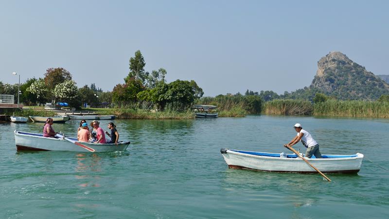 Roerne i Dalyan Tyrkia