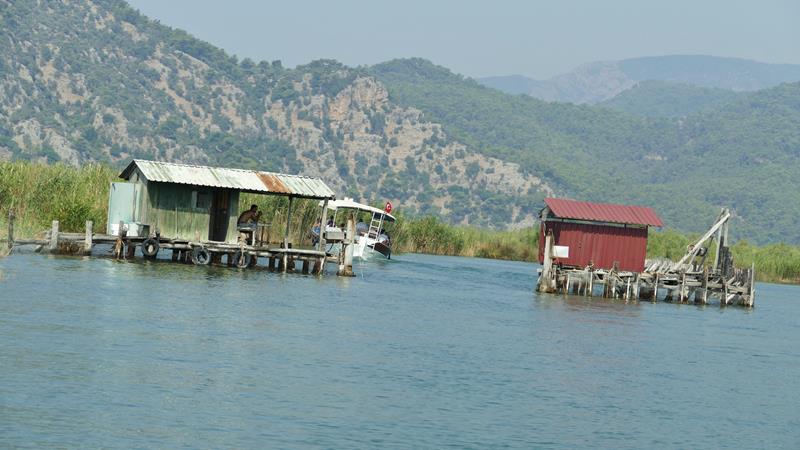 Elven Dalyan Tyrkia