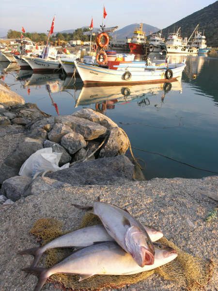 Gazipasa Alanya Tyrkia