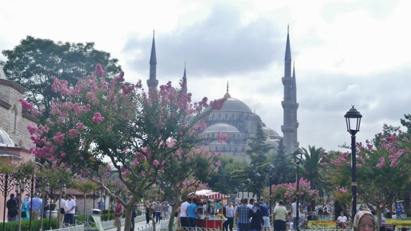 Dern blå moske Sultan Ahmet Istanbul Tyrkia