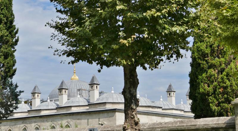 Dern blå moske Sultan Ahmet Istanbul Tyrkia