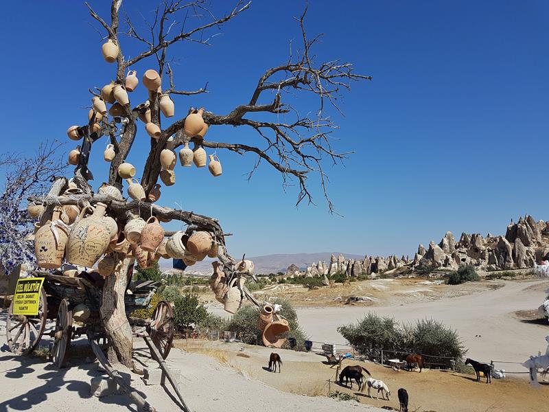 Mellom Göreme og Göreme openair museum Kappadokia