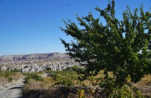 RED VALLEY and ROSE VALLEY Kappadokia