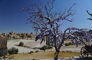 Mellom Göreme og Göreme openair museum Kappadokia