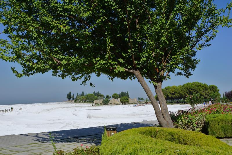 Pamukkale Tyrkia Hierapolis 