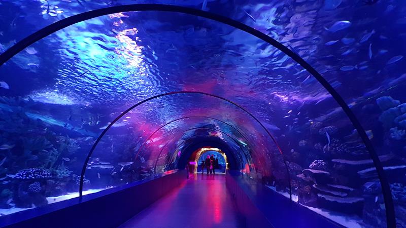 Antalya_Aquarium_Tyrkia