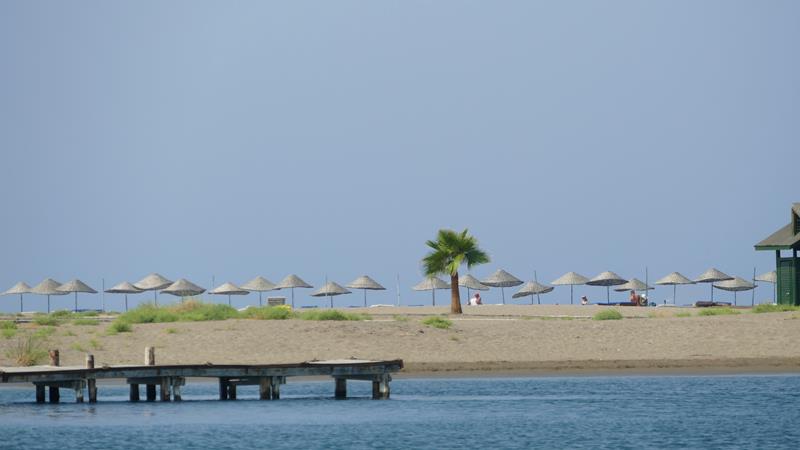 Iztuzu stranden Dalyan Tyrkia